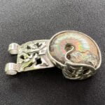 Zilveren sieraden en fossielen